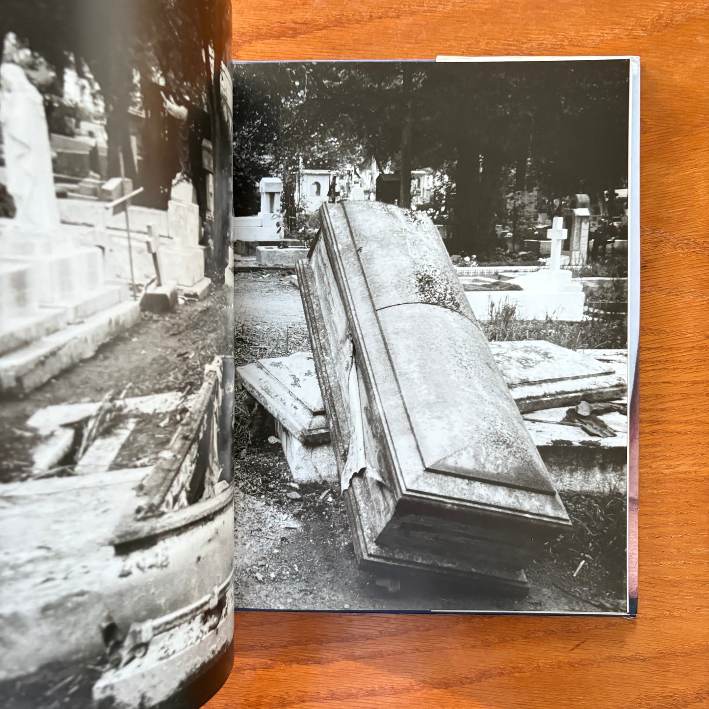 Terryworld - Terry Richardson