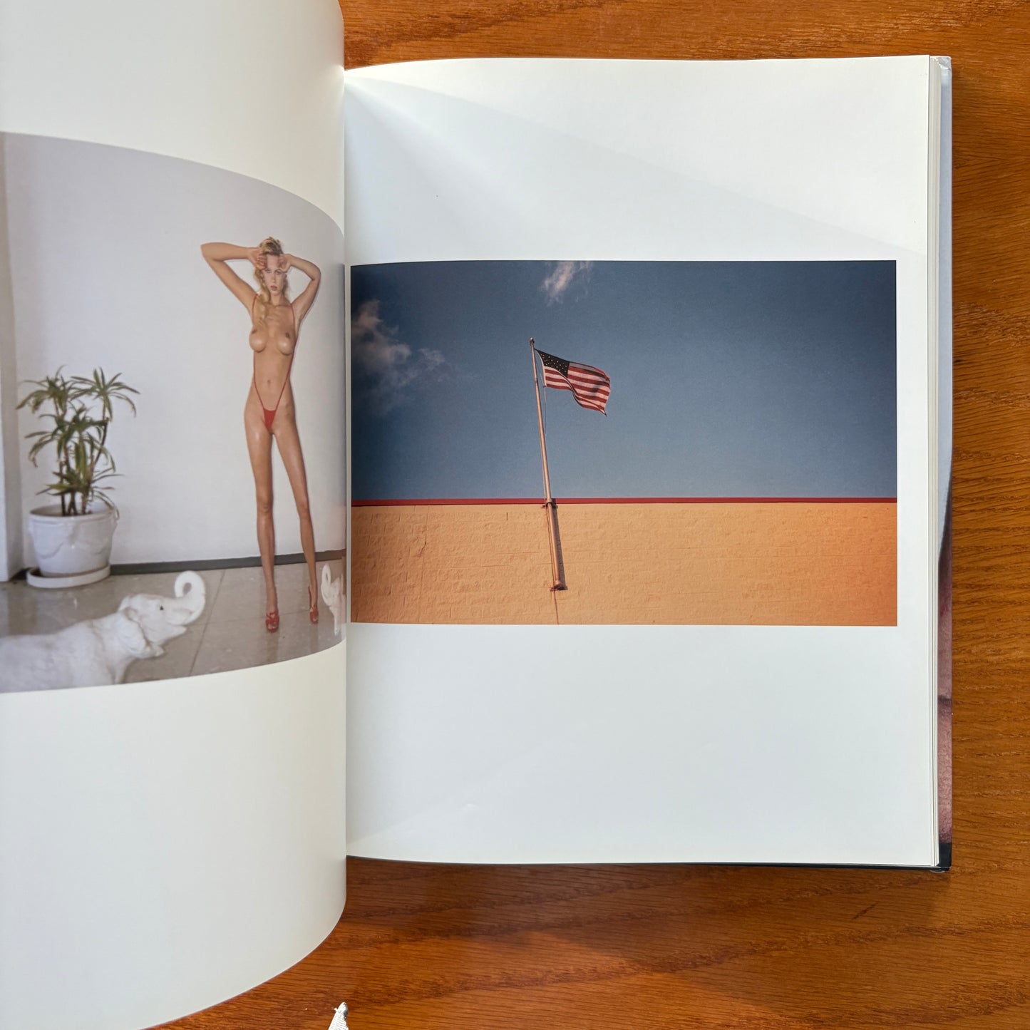 Terryworld - Terry Richardson