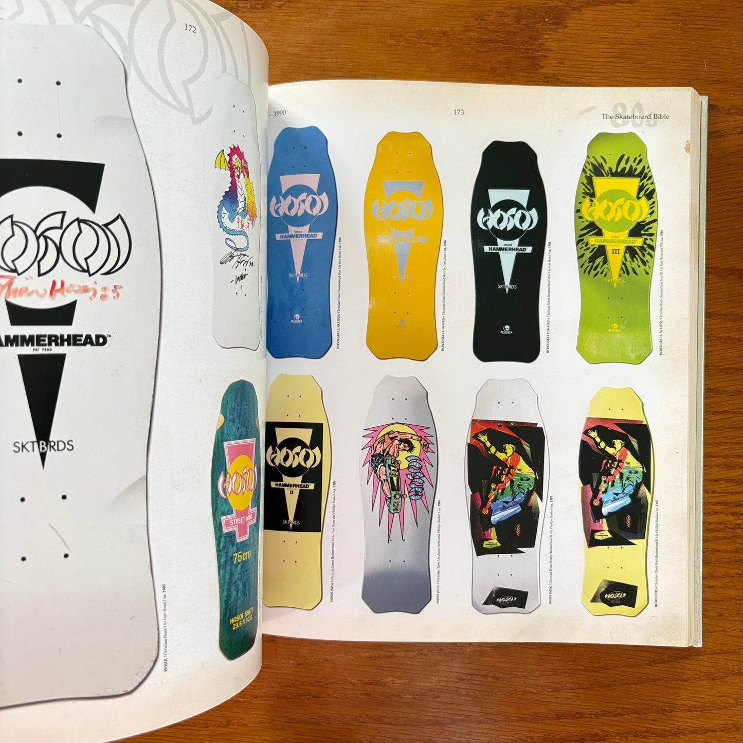 The Disposable Skateboard Bible Silver Ed - Sean Cliver