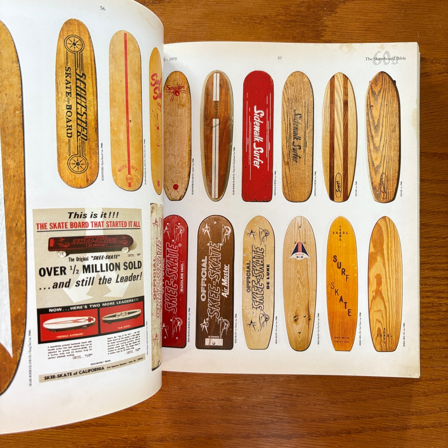 The Disposable Skateboard Bible Silver Ed - Sean Cliver