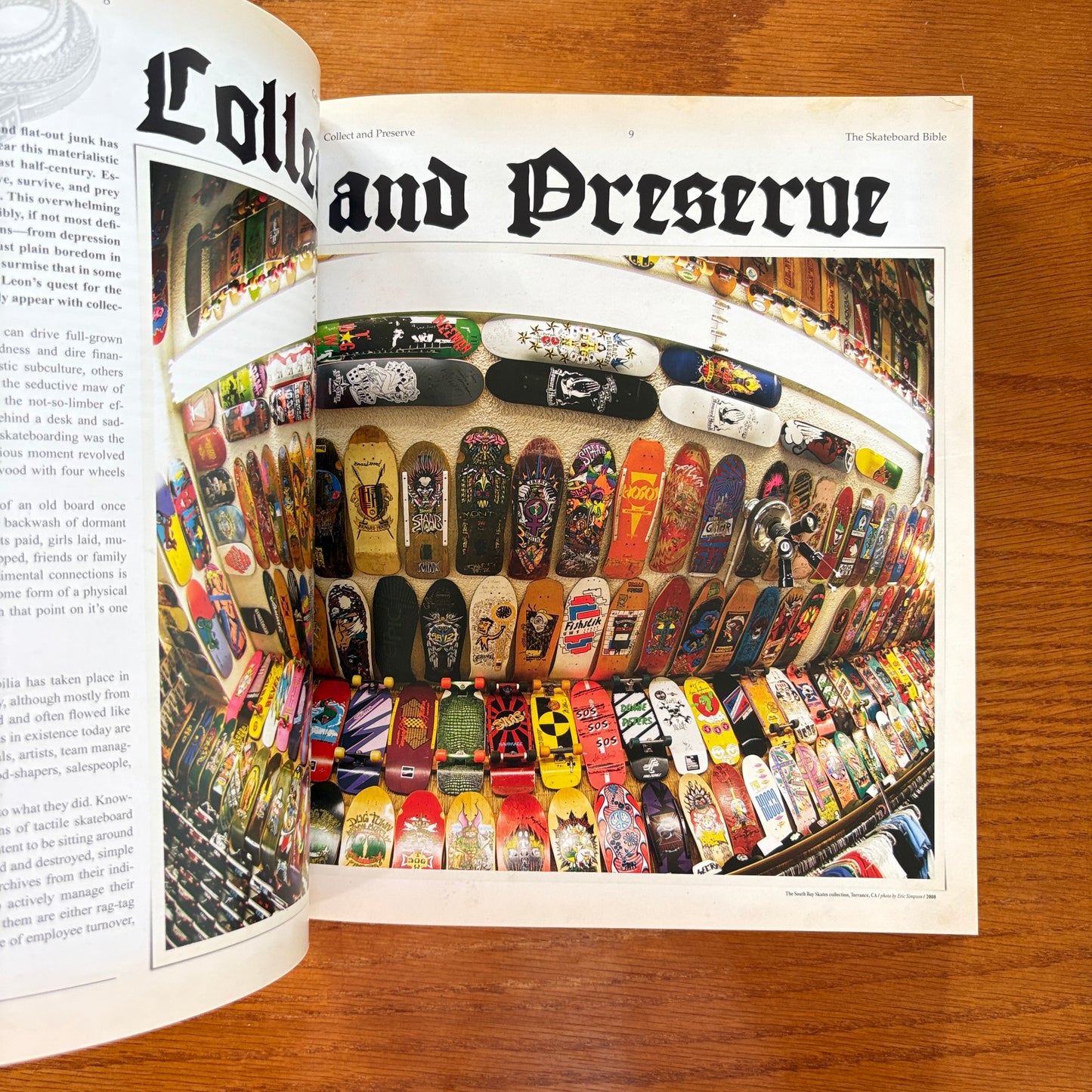 The Disposable Skateboard Bible Silver Ed - Sean Cliver