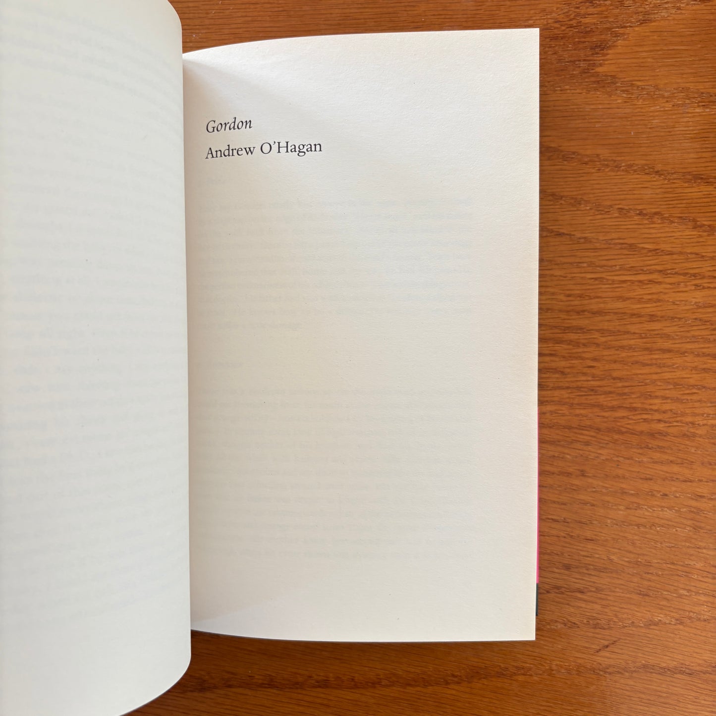 The Book of Other People Edited by Zadie Smith