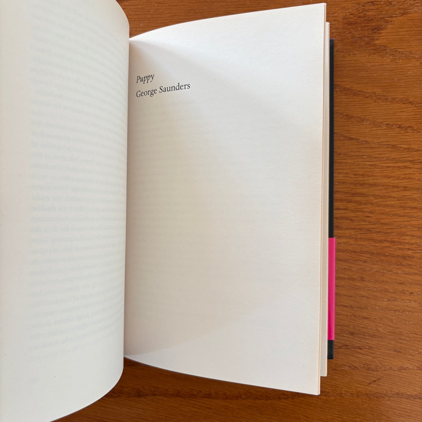 The Book of Other People Edited by Zadie Smith