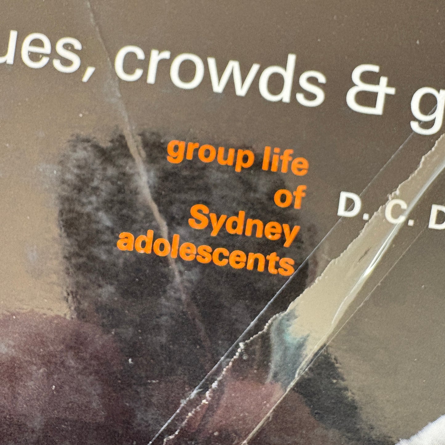 Cliques, Crowds & Gangs: Group Life of Sydney Adolescents - D.C. Dunphy