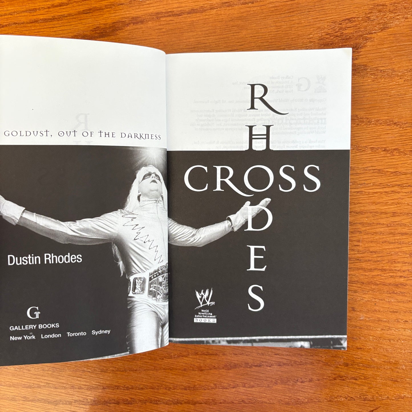 Cross Rhodes: Goldust, Out of the Darkness- Dustin Rhodes