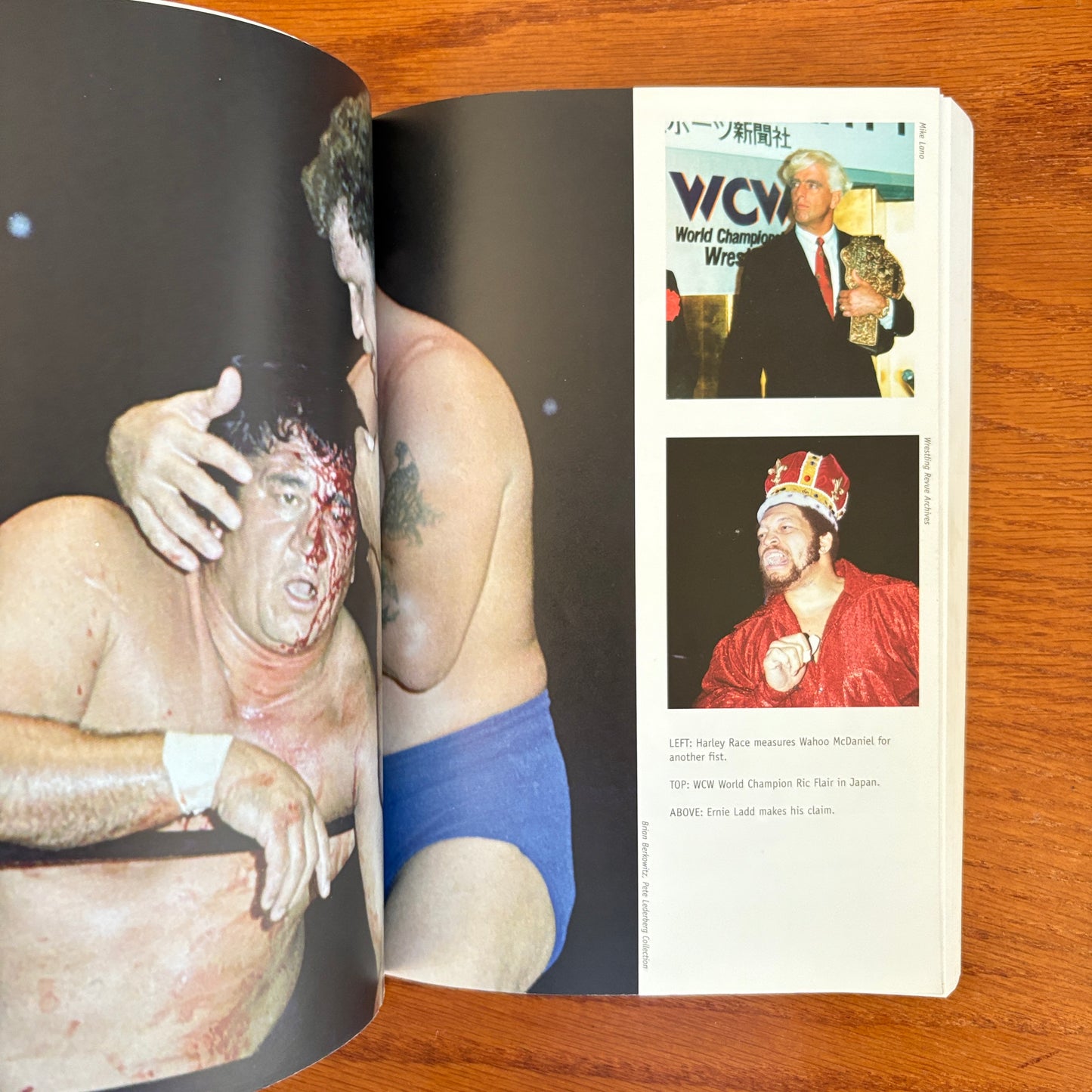 The Pro Wrestling Hall of Fame: The Heels - Greg Oliver & Steven Johnson