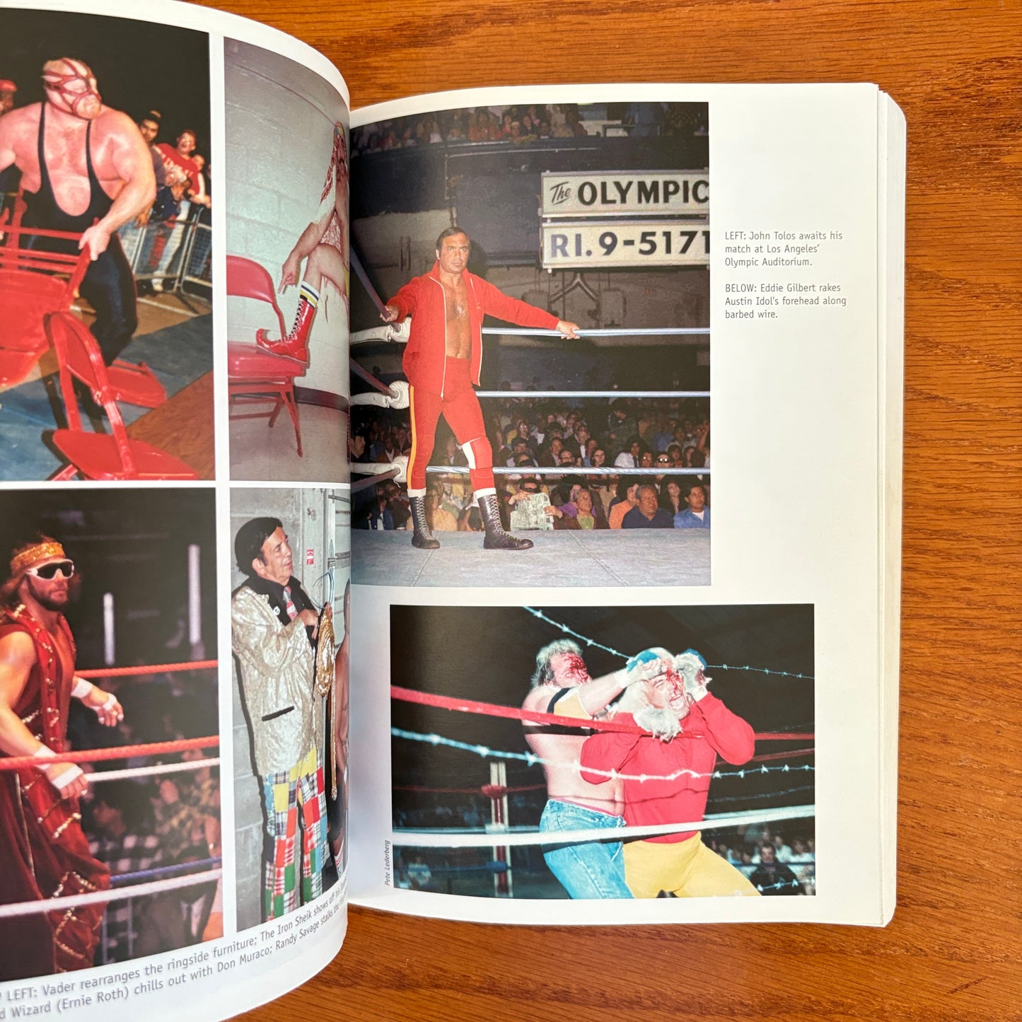 The Pro Wrestling Hall of Fame: The Heels - Greg Oliver & Steven Johnson