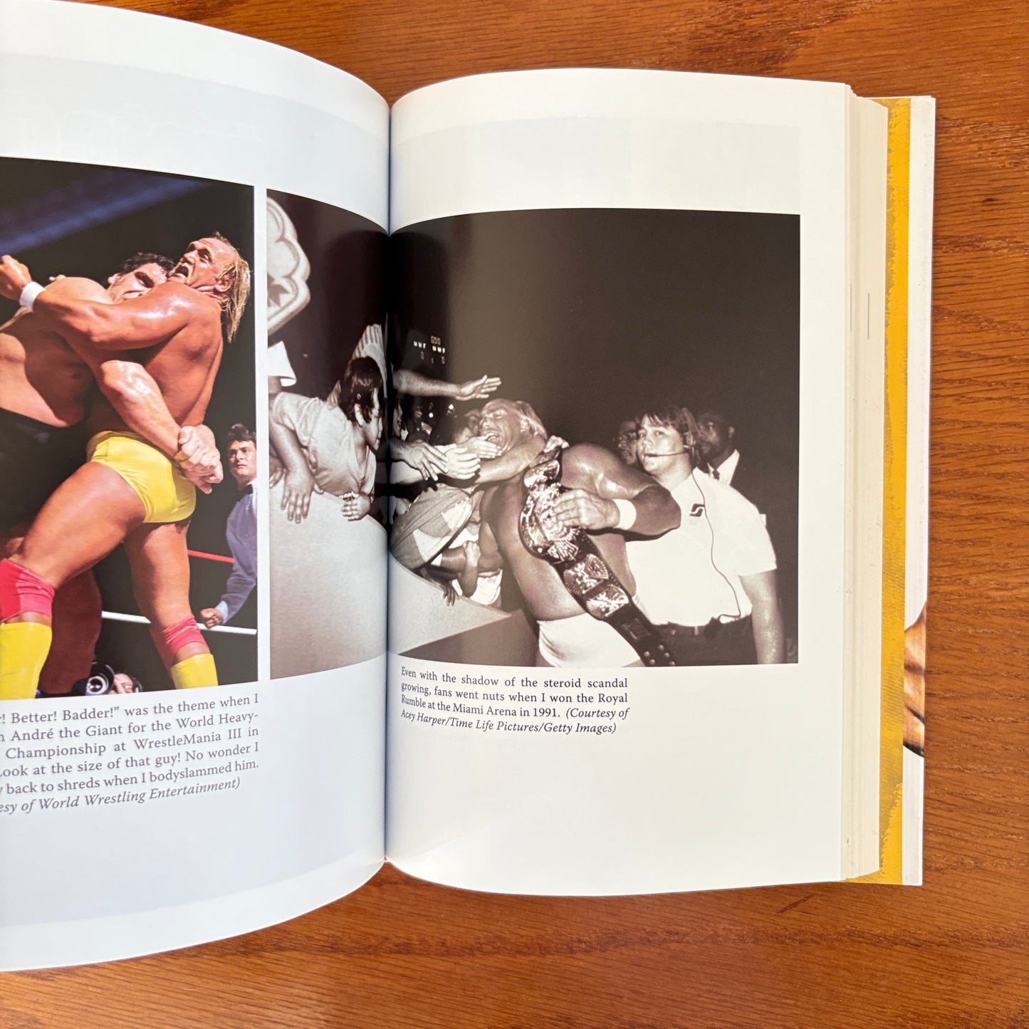 My Life Outside the Ring - Hulk Hogan & Mark Dagostino