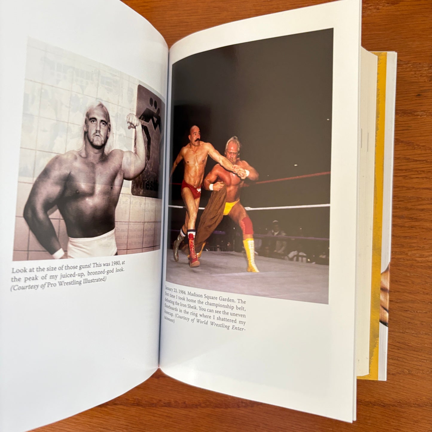 My Life Outside the Ring - Hulk Hogan & Mark Dagostino