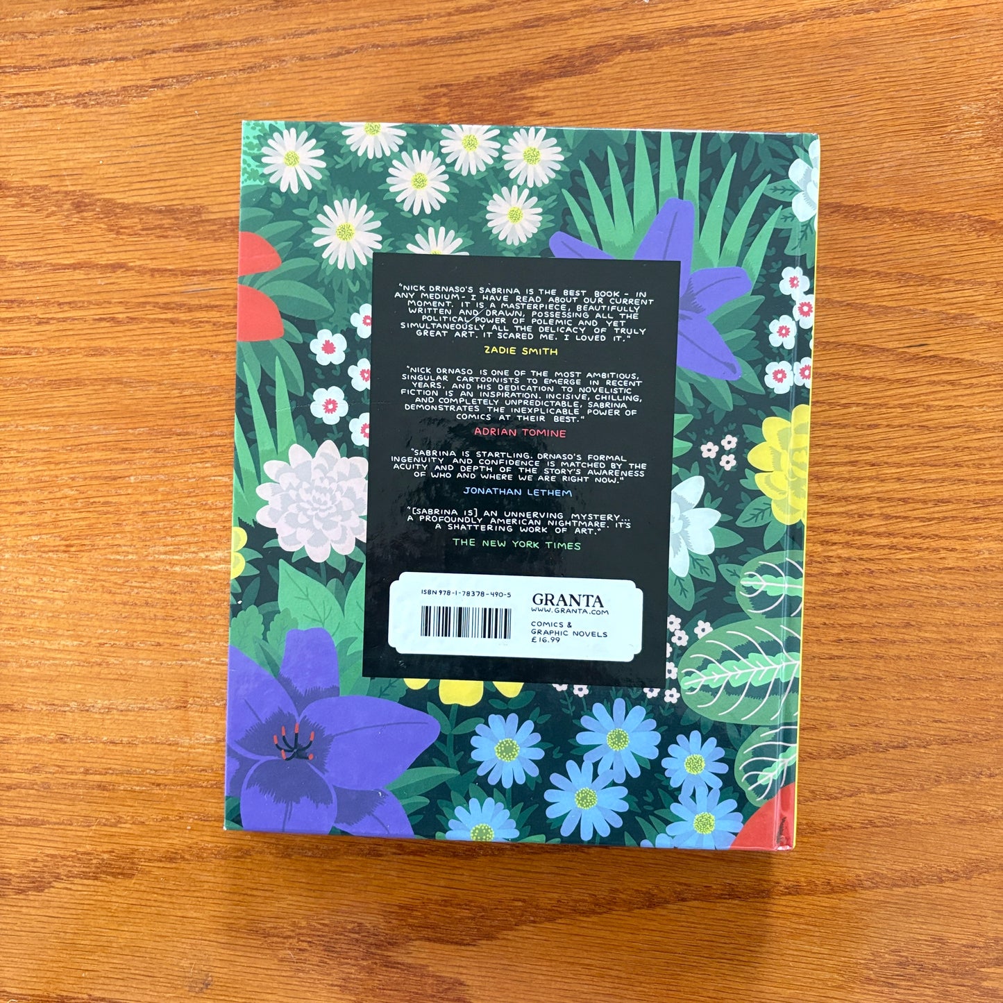 Sabrina - Nick Drnaso