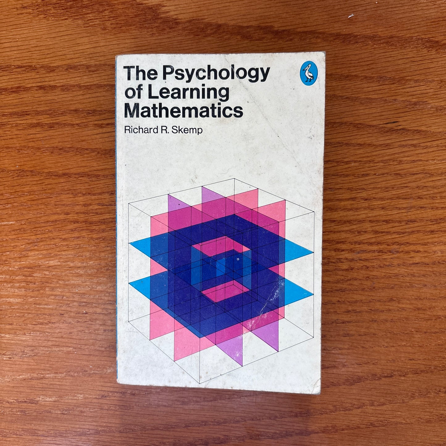 The Psychology of Learning Mathematics - Richard R. Skemp
