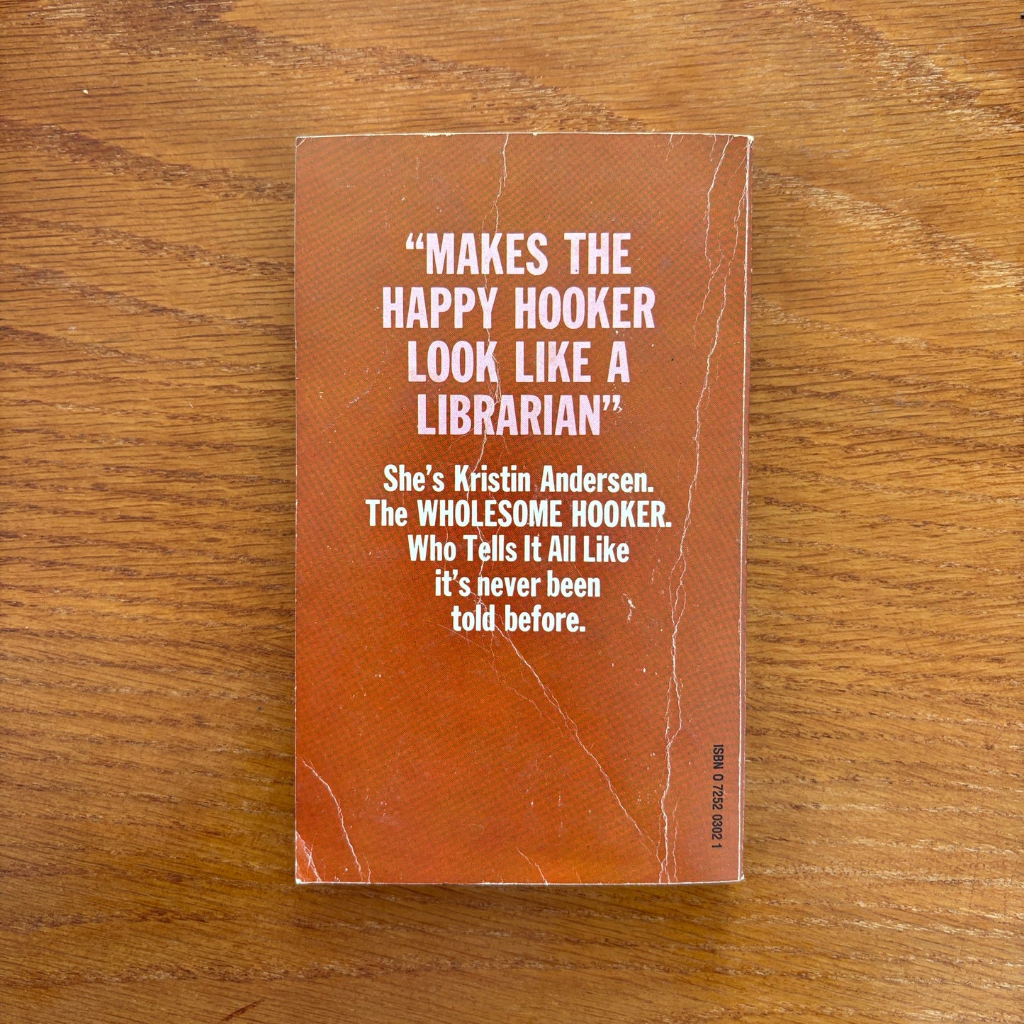 The Wholesome Hooker - Kristin Andersen