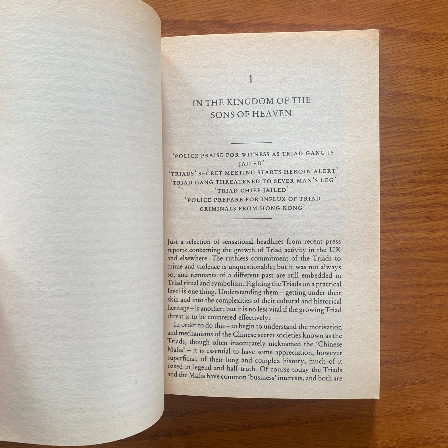 The Triads: The Chinese Criminal Fraternity - Martin Booth