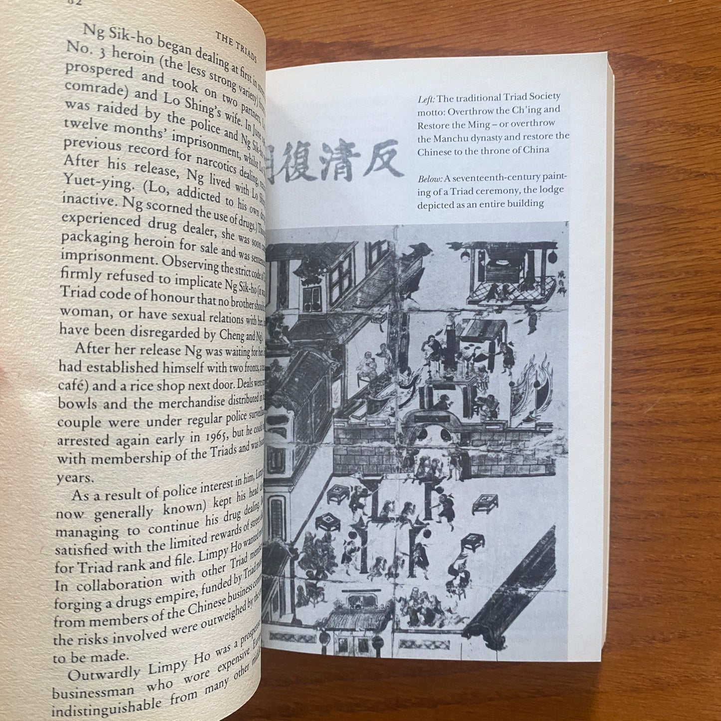 The Triads: The Chinese Criminal Fraternity - Martin Booth