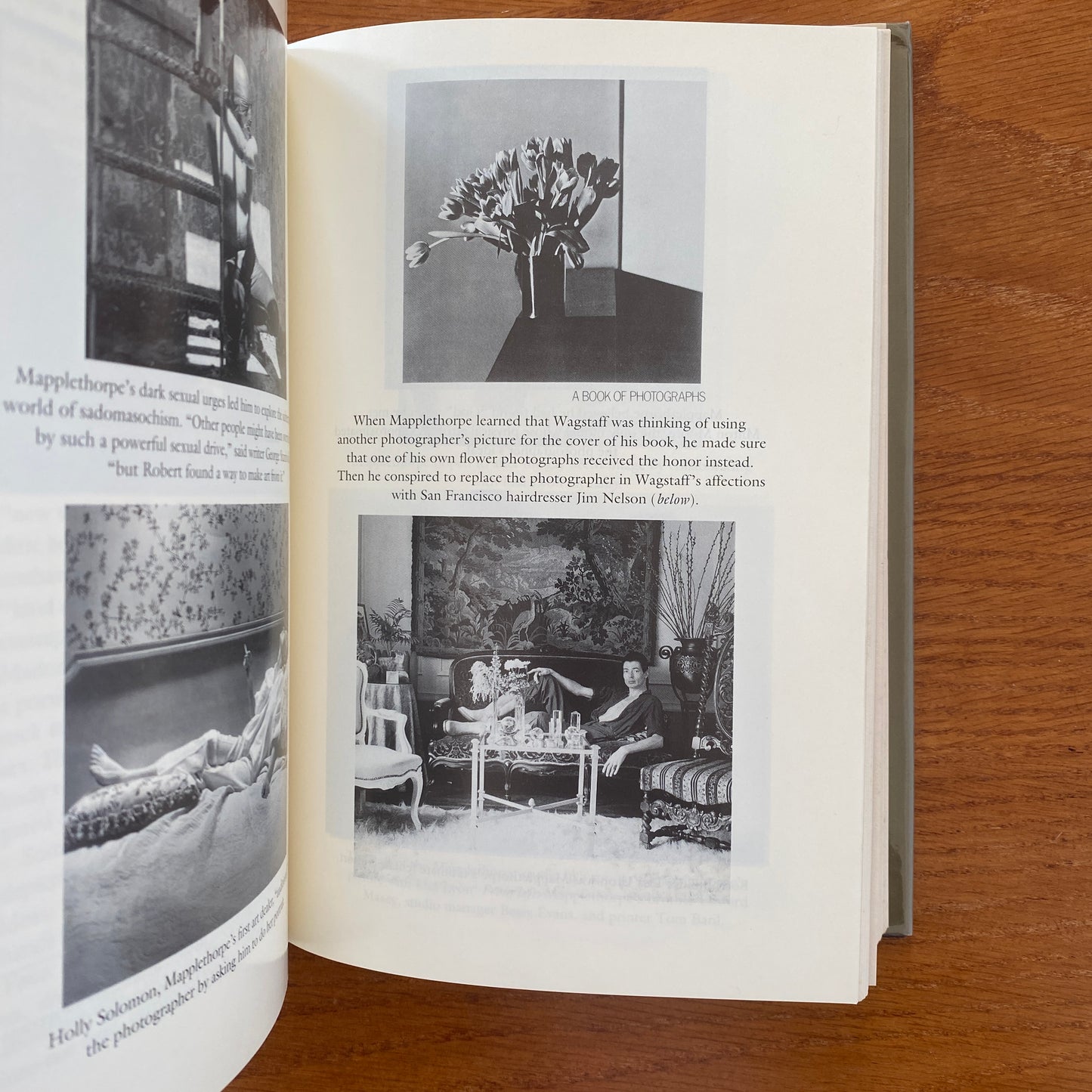 Mapplethorpe: A Biography - Patricia Morrisroe