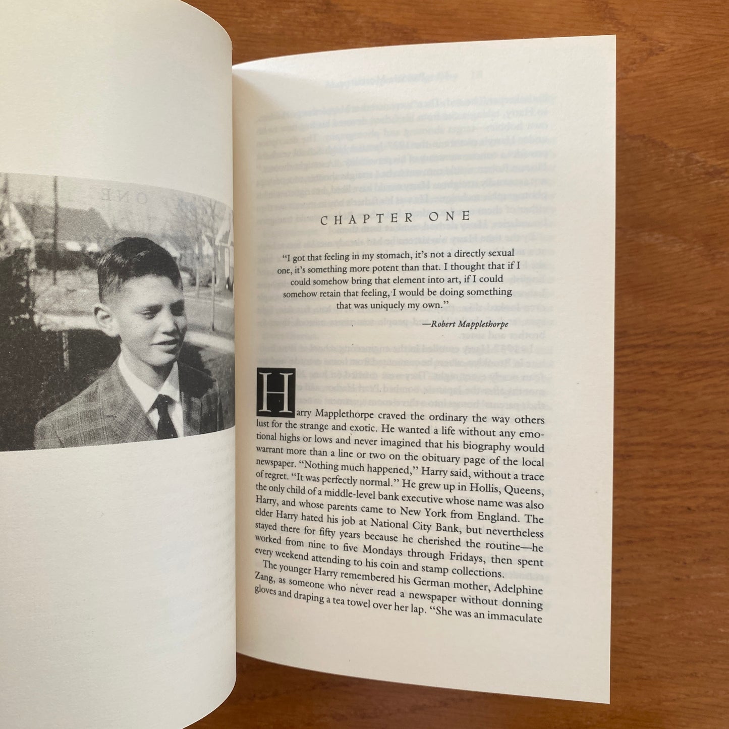 Mapplethorpe: A Biography - Patricia Morrisroe