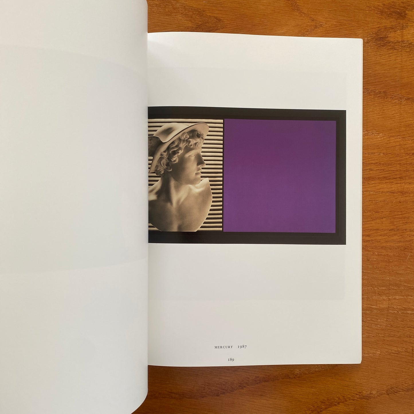 Robert Mapplethorpe - Richard Marshall