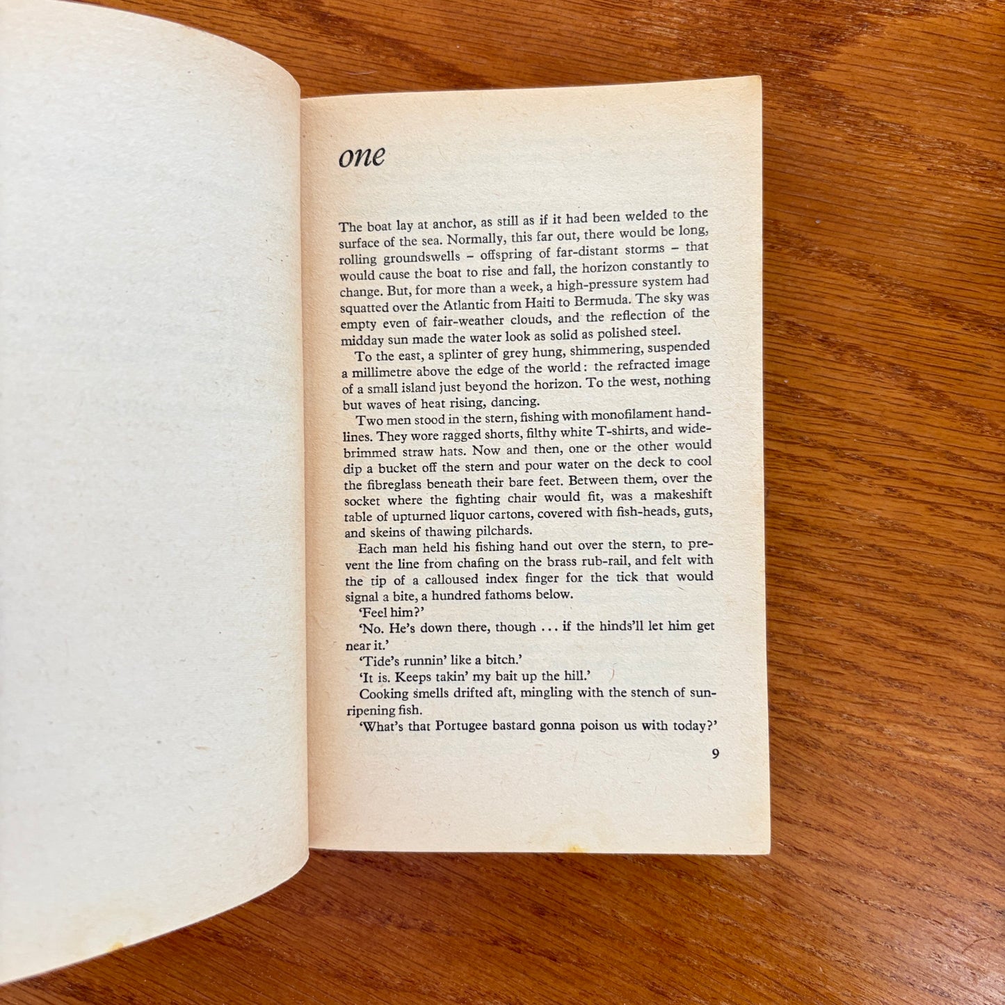 The Island - Peter Benchley