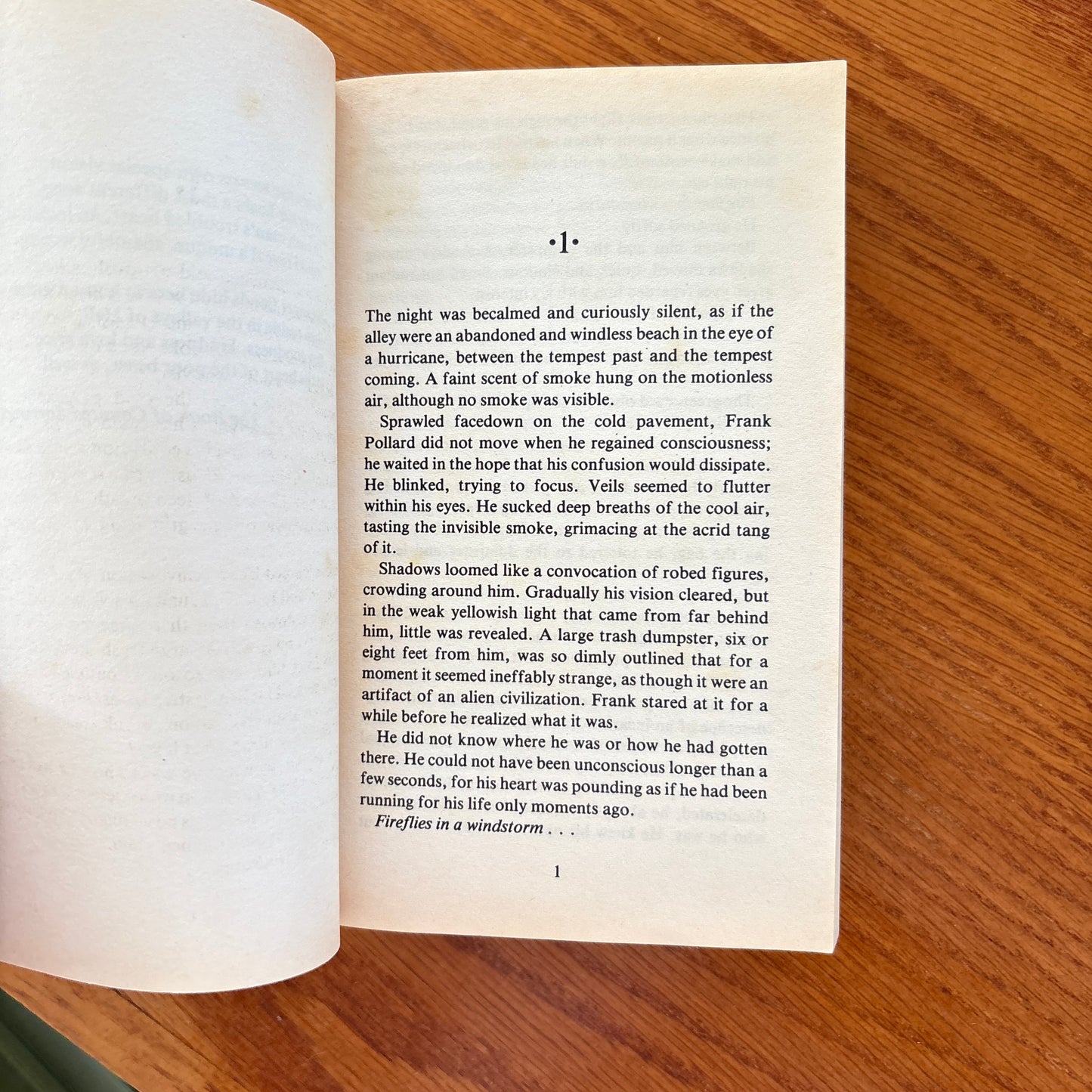 Dean Koontz - The Bad Place