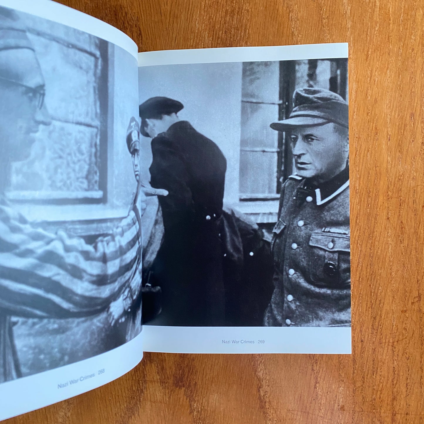The Mammoth Book of Illustrated Crime: A Photographic History - Colin Wilson & Damon Wilson