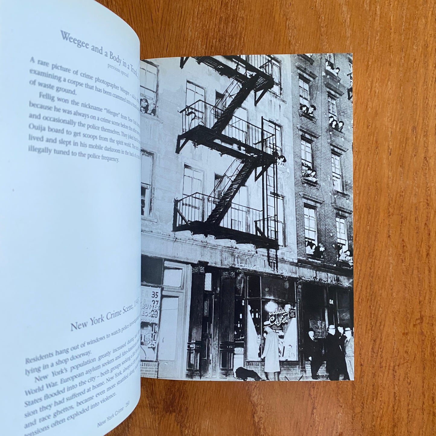 The Mammoth Book of Illustrated Crime: A Photographic History - Colin Wilson & Damon Wilson