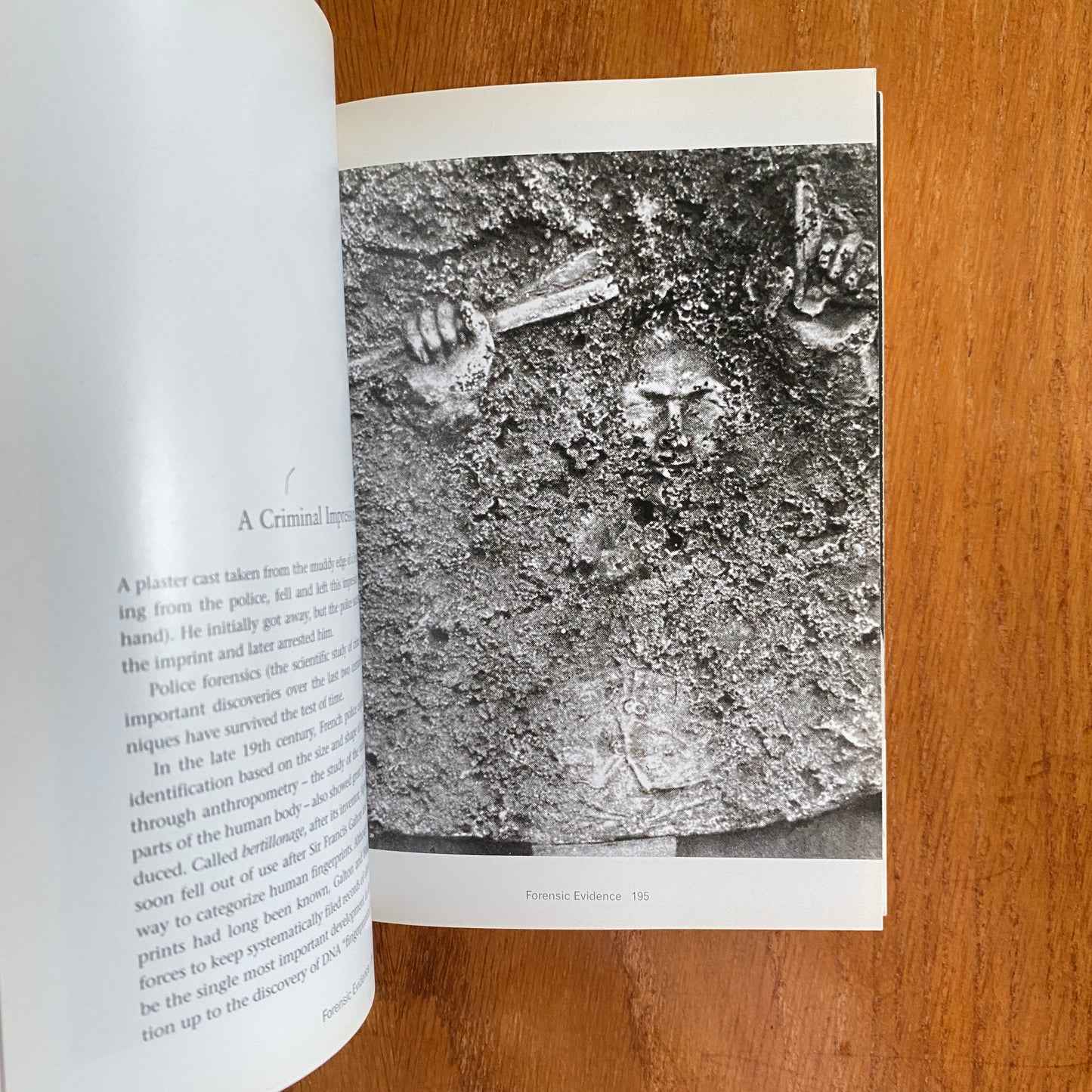 The Mammoth Book of Illustrated Crime: A Photographic History - Colin Wilson & Damon Wilson