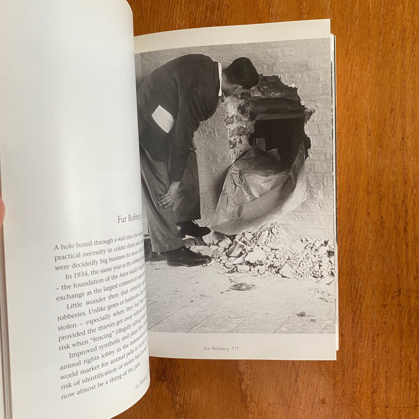 The Mammoth Book of Illustrated Crime: A Photographic History - Colin Wilson & Damon Wilson