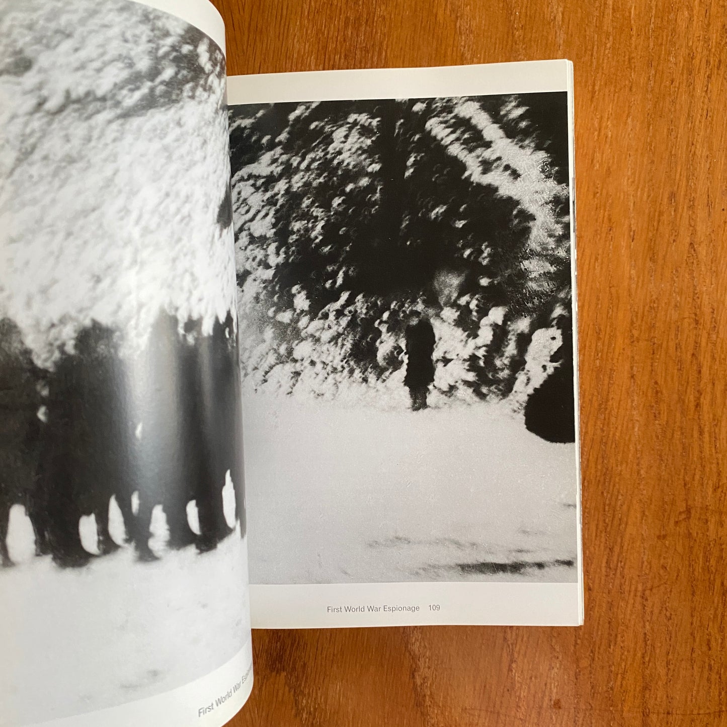 The Mammoth Book of Illustrated Crime: A Photographic History - Colin Wilson & Damon Wilson