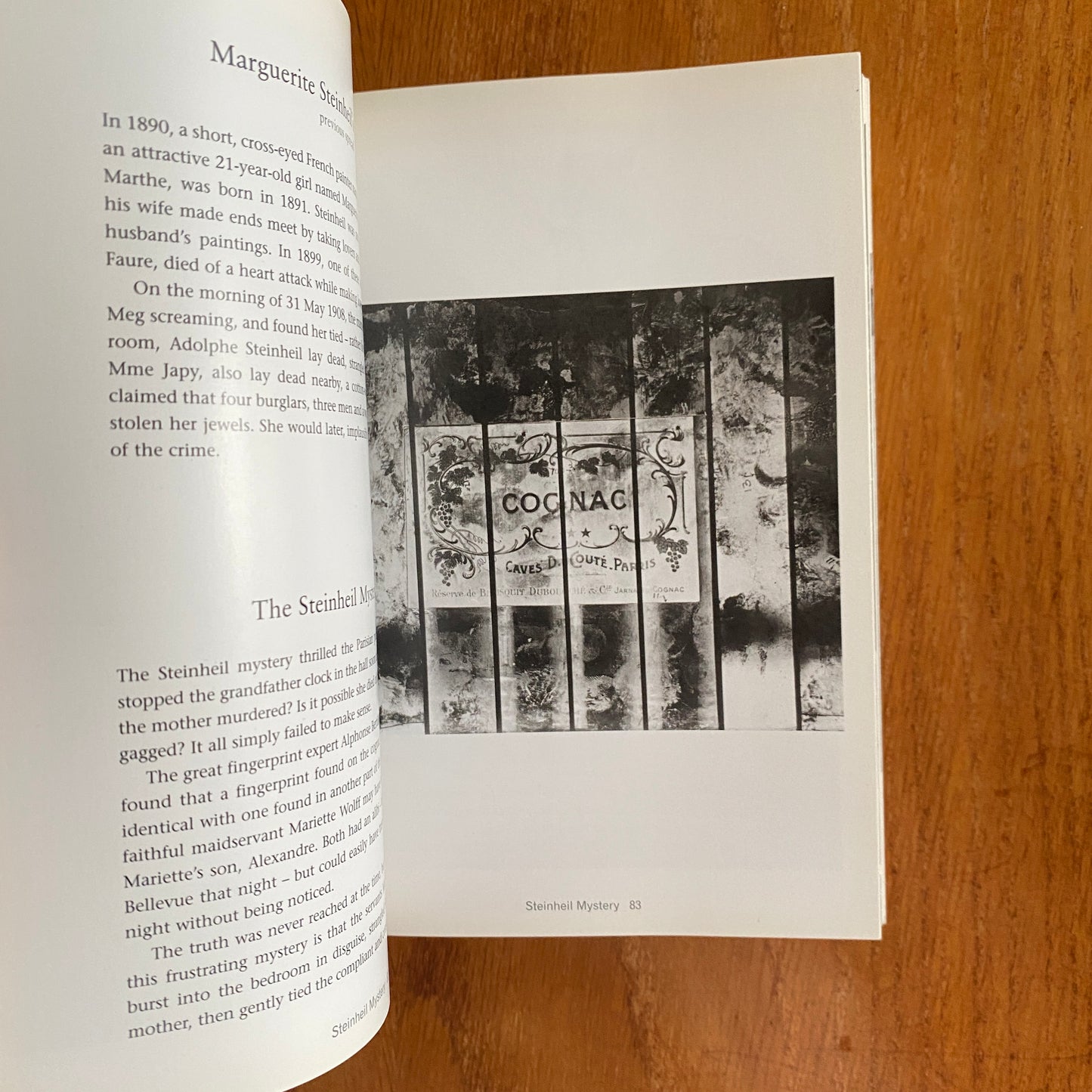 The Mammoth Book of Illustrated Crime: A Photographic History - Colin Wilson & Damon Wilson