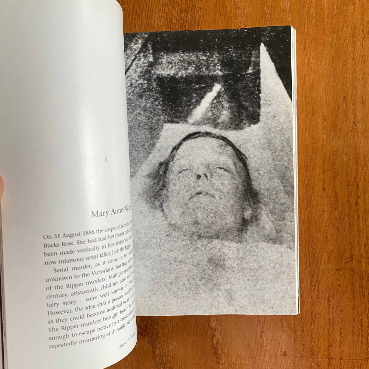 The Mammoth Book of Illustrated Crime: A Photographic History - Colin Wilson & Damon Wilson