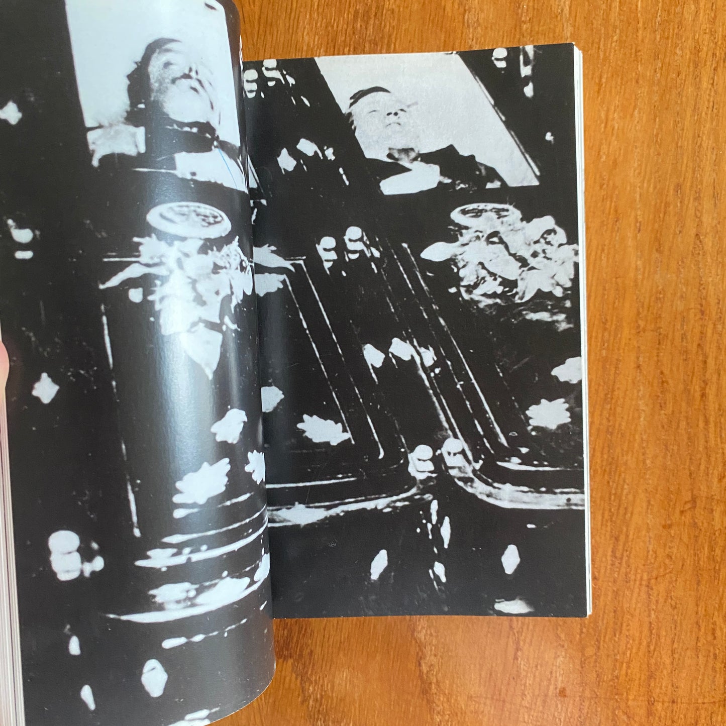 The Mammoth Book of Illustrated Crime: A Photographic History - Colin Wilson & Damon Wilson