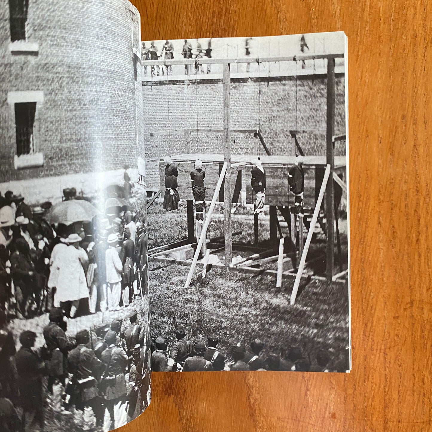 The Mammoth Book of Illustrated Crime: A Photographic History - Colin Wilson & Damon Wilson