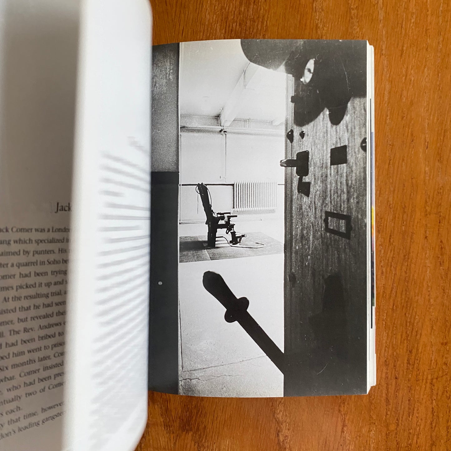 The Mammoth Book of Illustrated Crime: A Photographic History - Colin Wilson & Damon Wilson