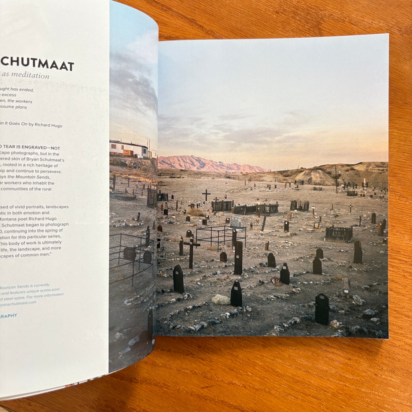 JUXTAPOZ ISSUE 172 / MAY 2015