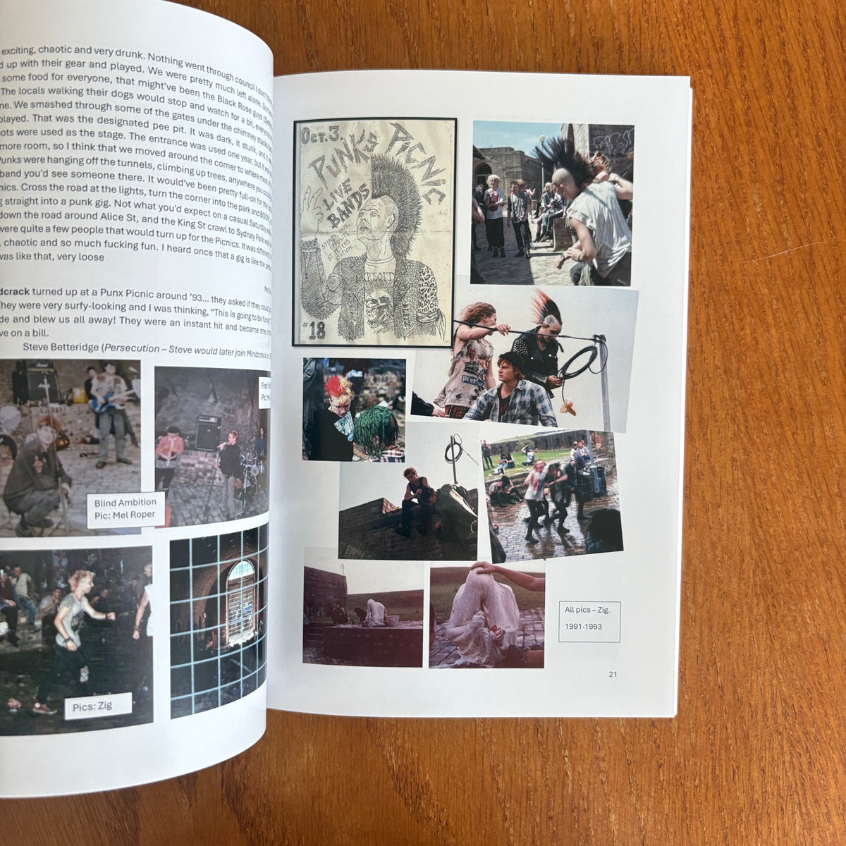 Punx Picnic: An Oral History Book - Luke Bartolo