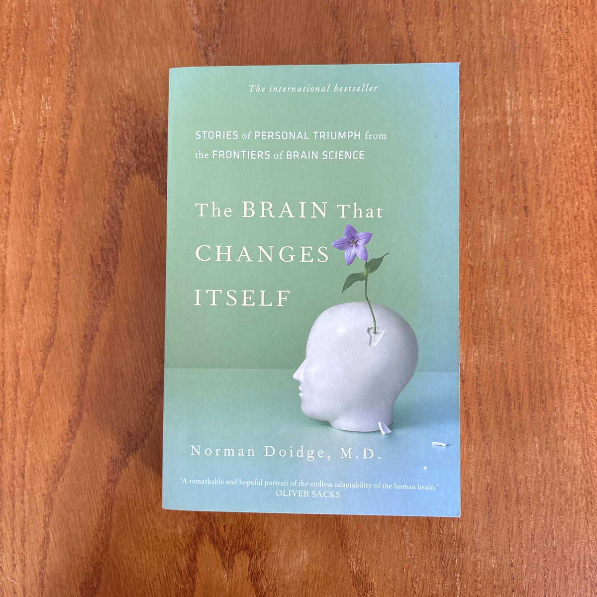 The Brain That Changes Itself: Stories of Personal Triumph from the Frontiers of Brain Science - Norman Doidge (Copy)