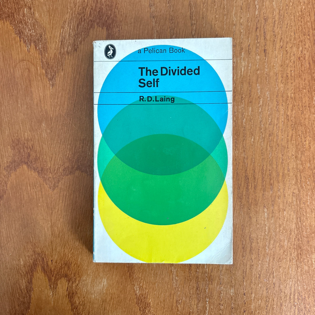 The Divided Self: An Existential Study in Sanity and Madness - R. D. Laing