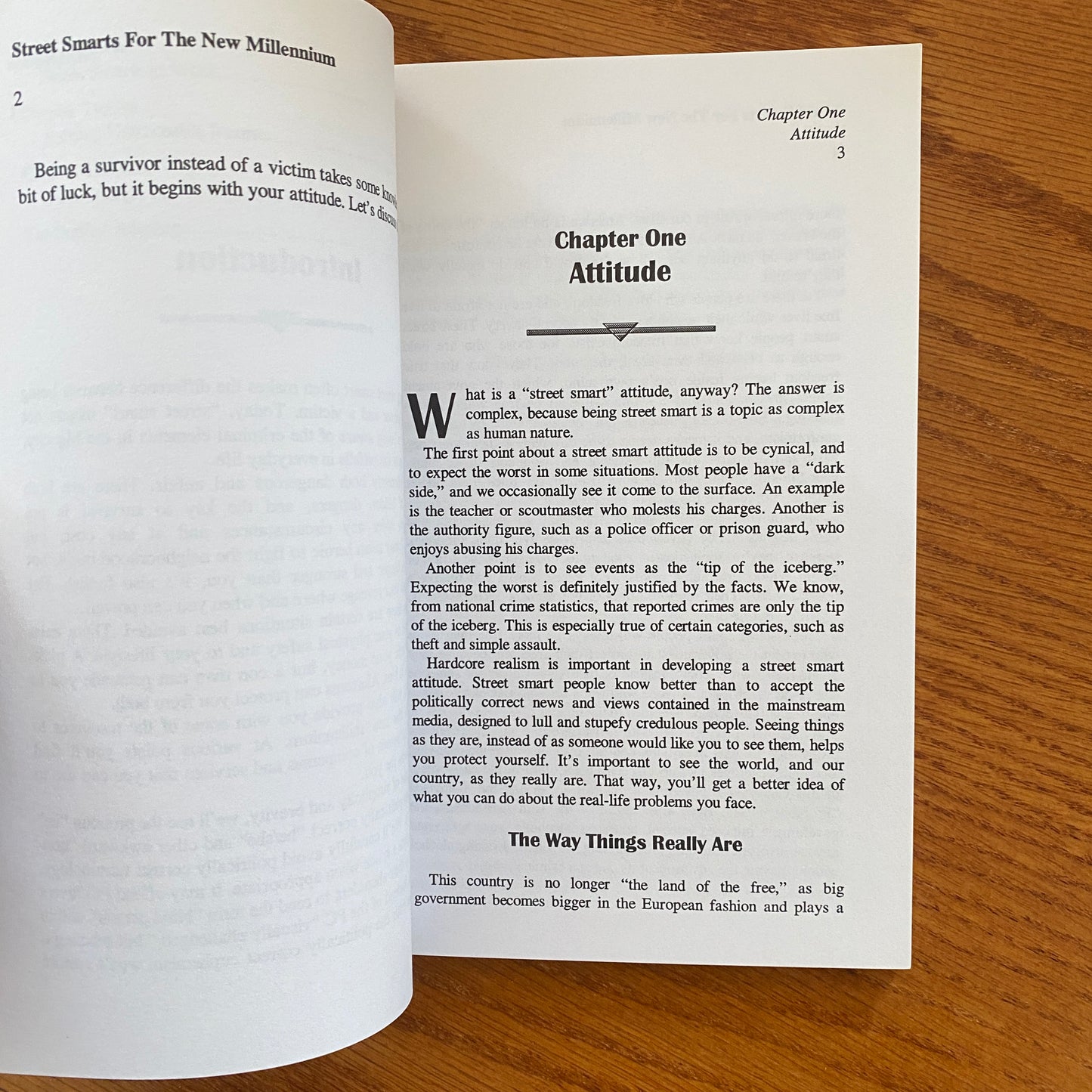 Street Smarts For The New Millenium - Jack Luger