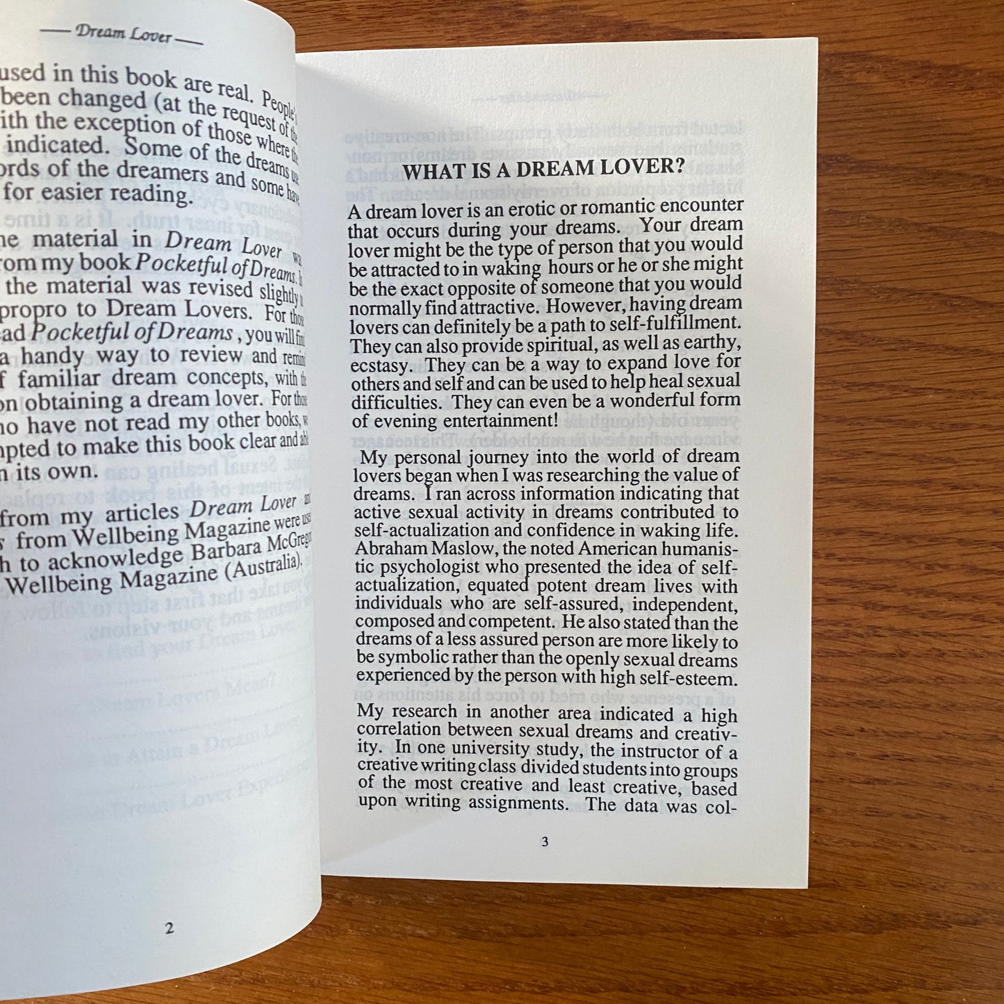 Dream Lover - Denise Lynn