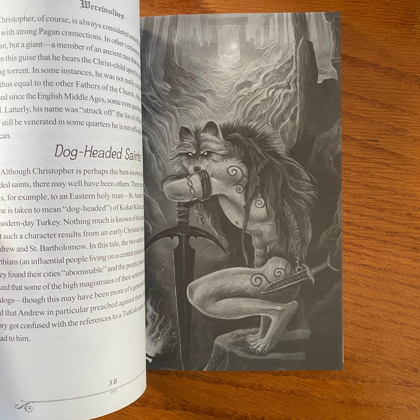 Werewolves: A Field Guide to Shapeshifters, Lycanthropes, & Man-Beasts - Dr Bob Curran