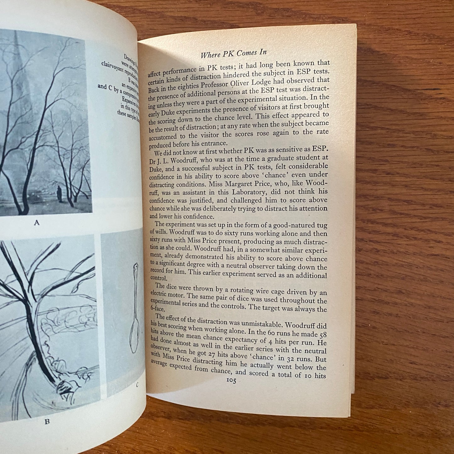 The Reach Of The Mind - J. B. Rhine