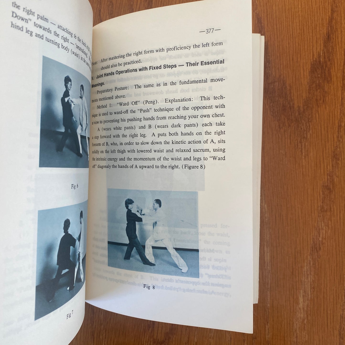 Fundamentals of Tai Chi Chuan - Wen-Shan Huang