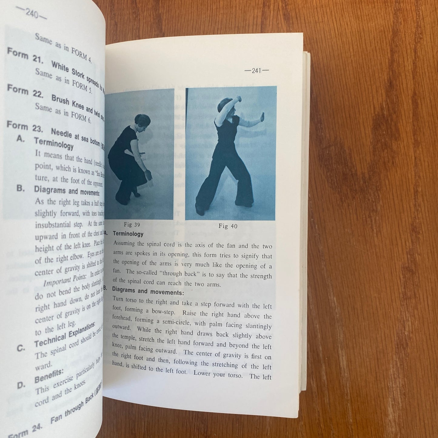 Fundamentals of Tai Chi Chuan - Wen-Shan Huang