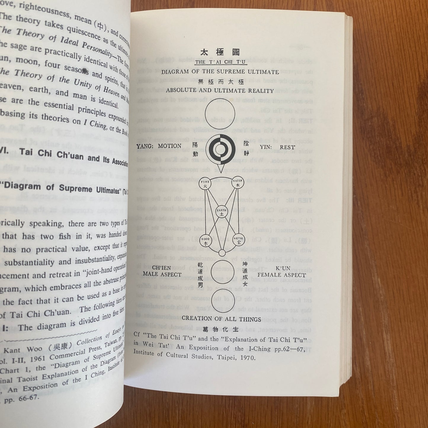 Fundamentals of Tai Chi Chuan - Wen-Shan Huang