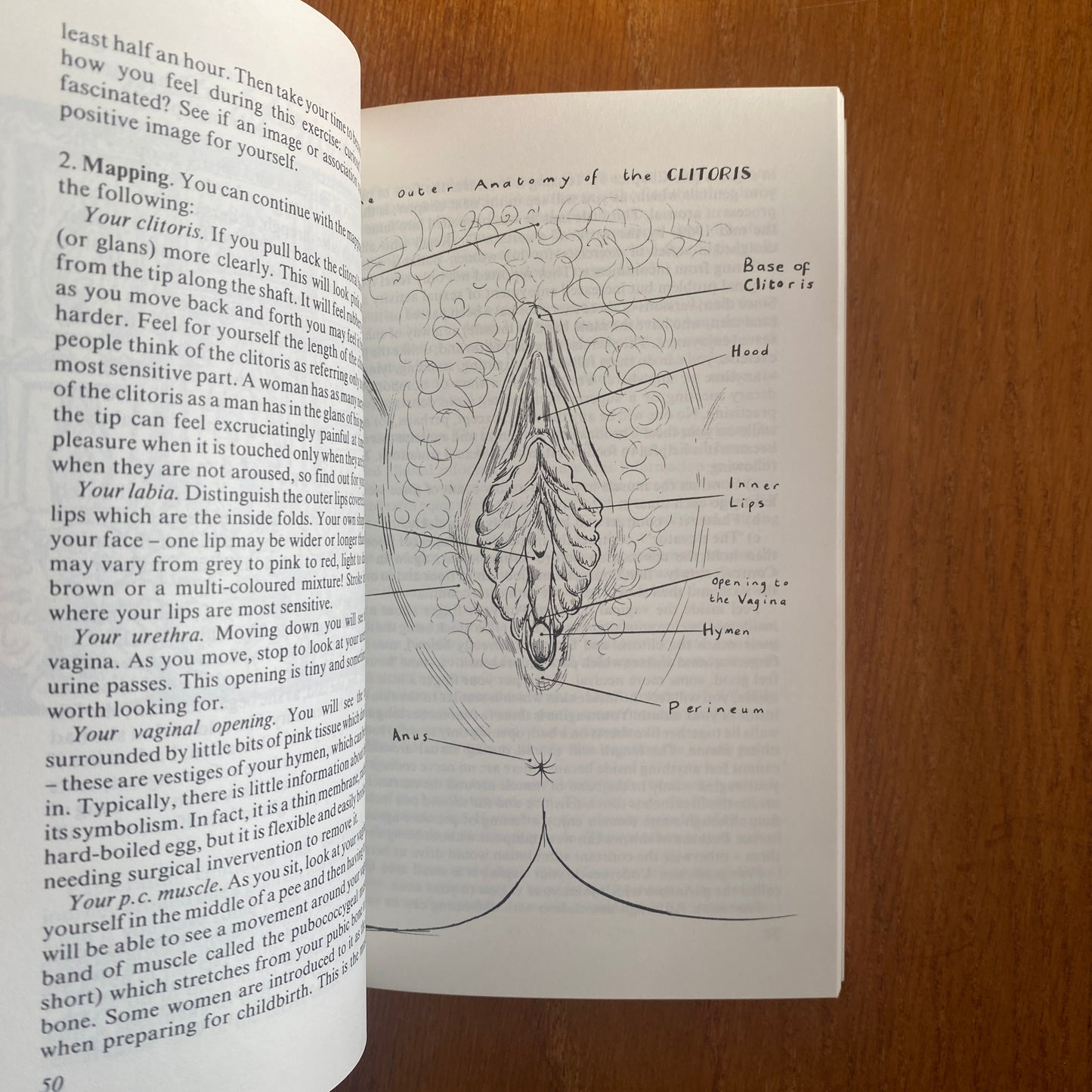 The Mirror Within: A New Look at Sexuality - Anne Dickson