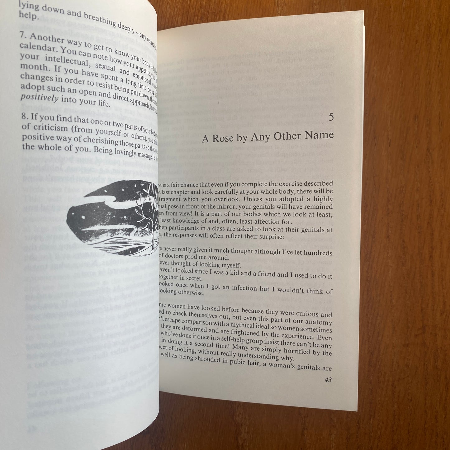 The Mirror Within: A New Look at Sexuality - Anne Dickson