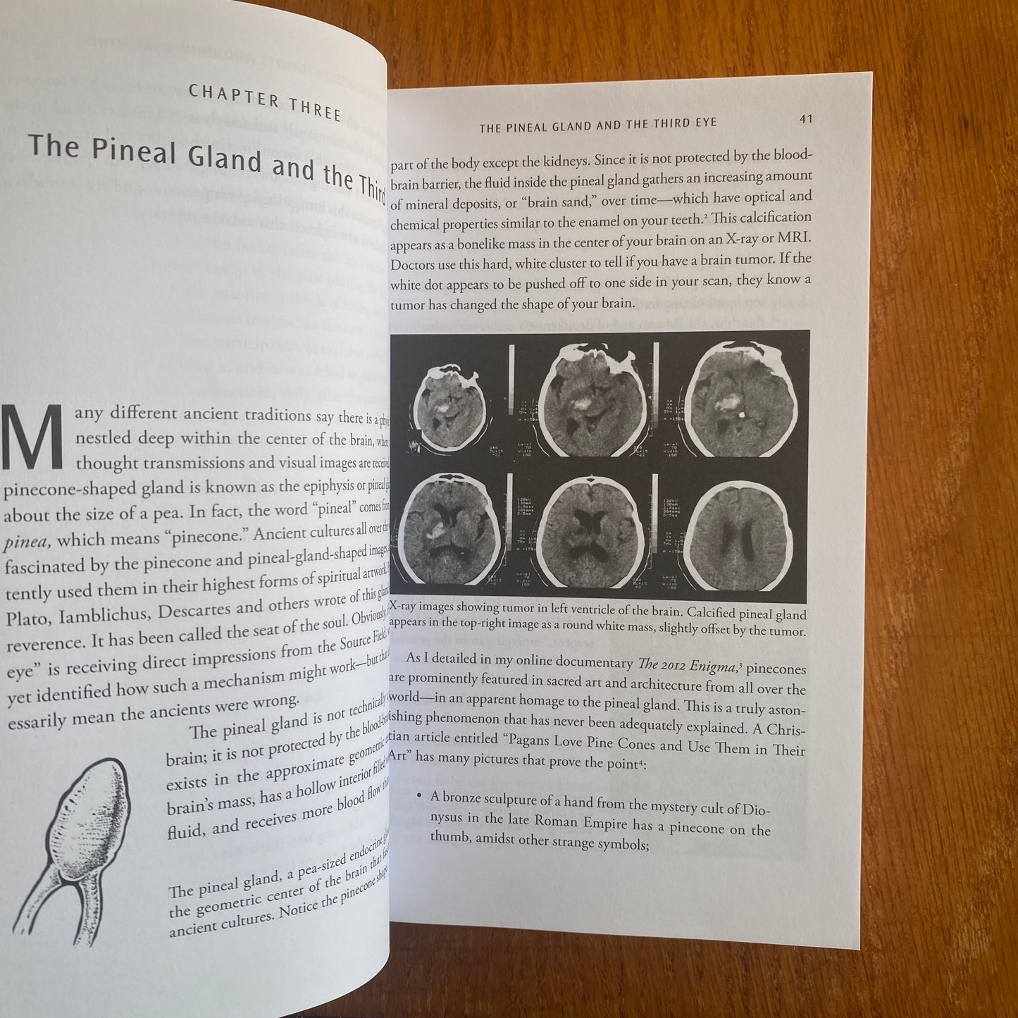 The Hidden Science of Lost Civilisations: The Source Field Investigations - David Wilcock