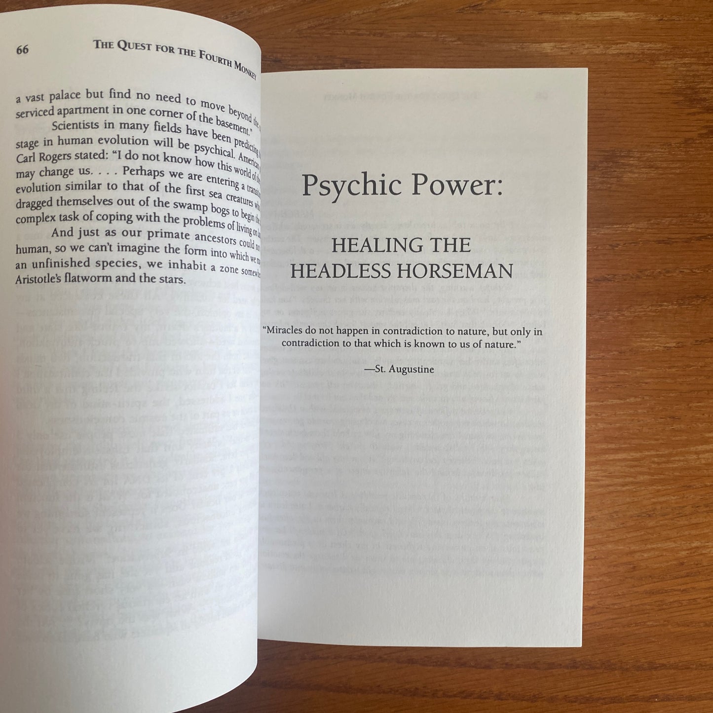 The Quest For The Fourth Monkey:: A Thinker's Guide to the Psychic and Spiritual Revolution - Sylvia Fraser