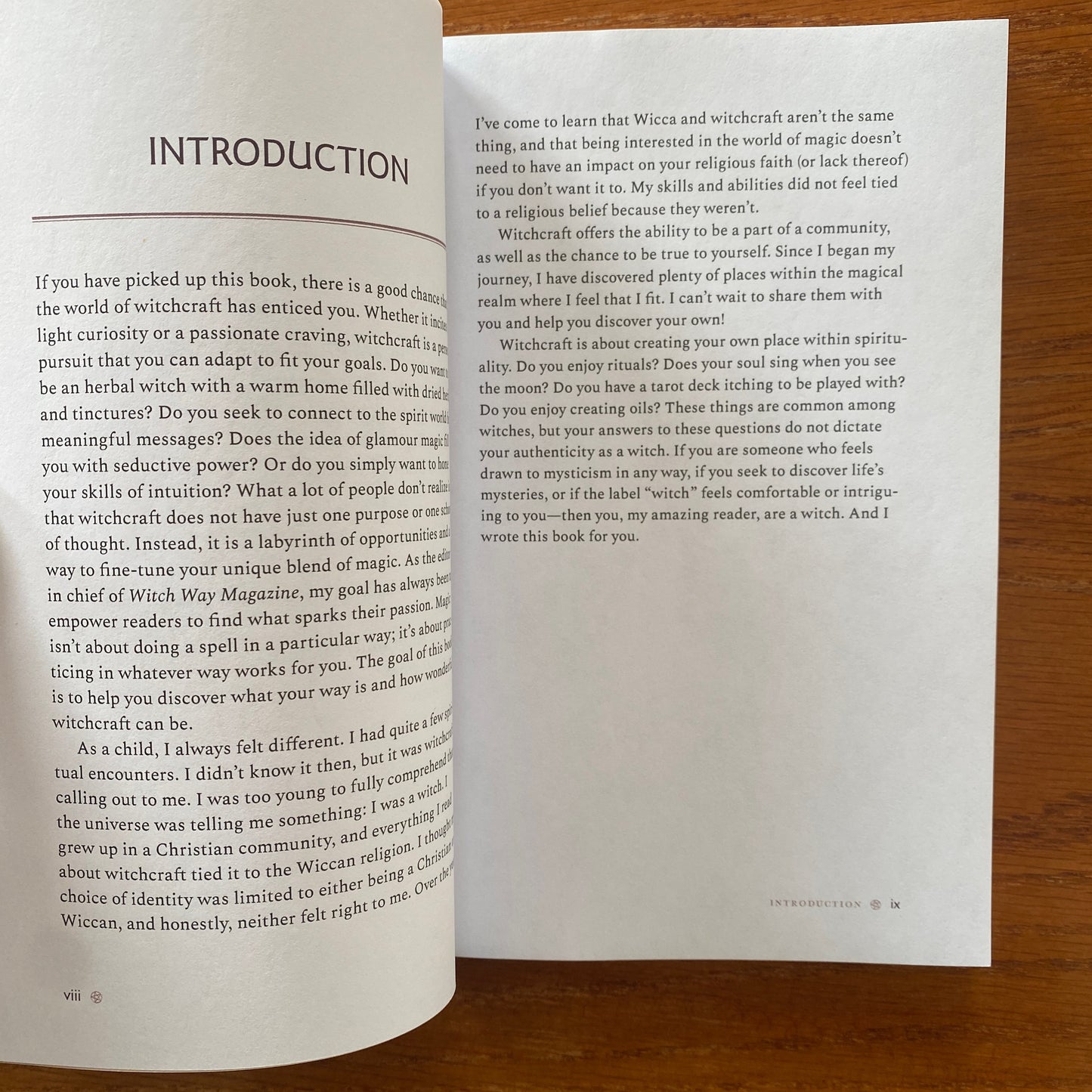 The Door To Witchcraft: A New Witch's Guide to History, Traditions, and Modern Day Spells - Tonya A. Brown