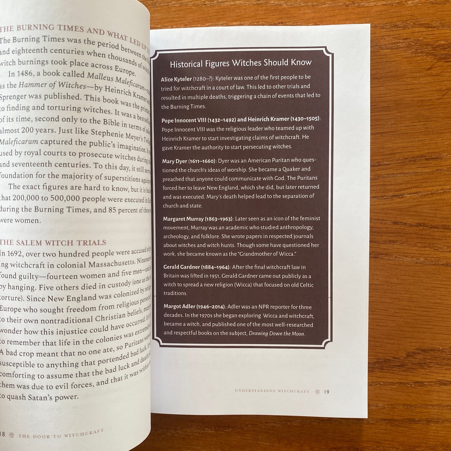 The Door To Witchcraft: A New Witch's Guide to History, Traditions, and Modern Day Spells - Tonya A. Brown